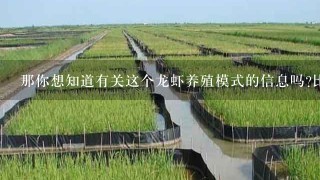 那你想知道有关这个龙虾养殖模式的信息吗比如它们是如何生长和繁殖的