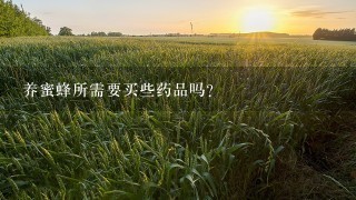 养蜜蜂所需要买些药品吗