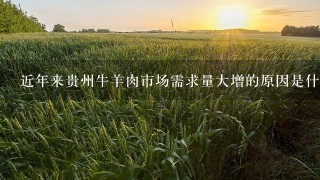 近年来贵州牛羊肉市场需求量大增的原因是什么