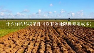 什么样的环境条件可以有效地降低养殖成本