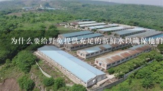 为什么要给野兔提供充足的新鲜水以确保他们的健康状况