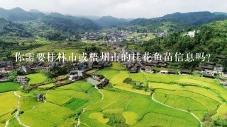 你需要桂林市或梧州市的桂花鱼苗信息吗