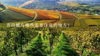 养田螺有哪些需要注意的地方