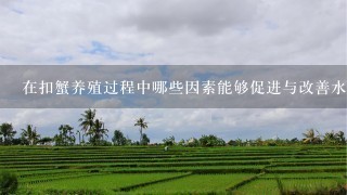 在扣蟹养殖过程中哪些因素能够促进与改善水体中的营养物质含量和稳定性