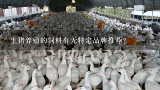 生猪养殖的饲料有无特定品牌推荐