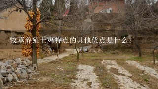 牧草养殖土鸡特点的其他优点是什么