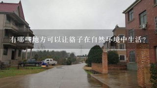 有哪些地方可以让貉子在自然环境中生活