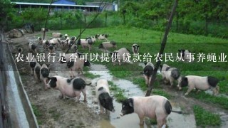 农业银行是否可以提供贷款给农民从事养蝇业