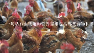 一句话石金钱龟的营养需求包括哪些食物和多少份