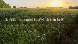 室内泥 desaparición的生态影响如何?