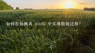 如何在仙桃黄 shutil 中实现数据迁移?