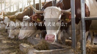 豹猫养殖证的申请方式是什么?