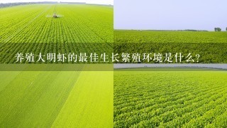 养殖大明虾的最佳生长繁殖环境是什么?