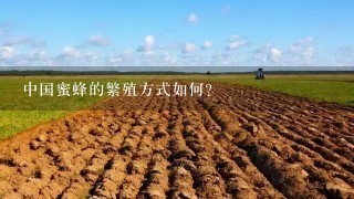 中国蜜蜂的繁殖方式如何?