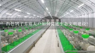 昌邑鸽子养殖大户如何促进生态文明建设?