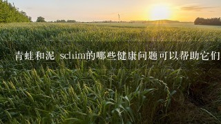 青蛙和泥 schim的哪些健康问题可以帮助它们在养殖中?