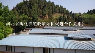 河北省孵化养殖政策如何促进合作关系?