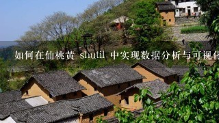 如何在仙桃黄 shutil 中实现数据分析与可视化的集成?