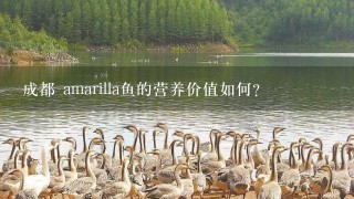 成都 amarilla鱼的营养价值如何?