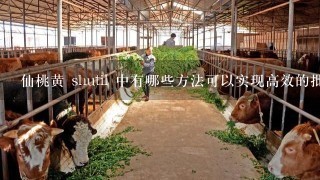 仙桃黄 shutil 中有哪些方法可以实现高效的批量处理?