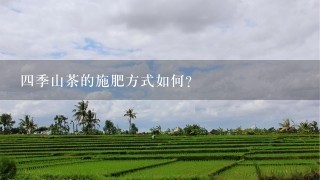 四季山茶的施肥方式如何?