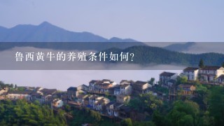 鲁西黄牛的养殖条件如何?