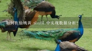 如何在仙桃黄 shutil 中实现数据分析?