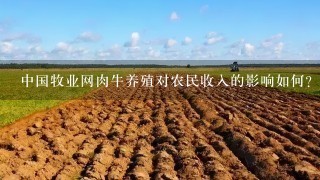 中国牧业网肉牛养殖对农民收入的影响如何?