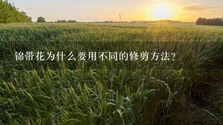 锦带花为什么要用不同的修剪方法?