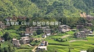 鱼塘泥 Clay 如何培养细菌?