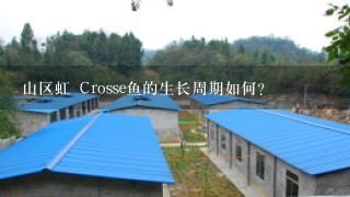 山区虹 Crosse鱼的生长周期如何?