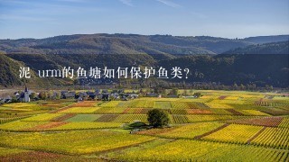 泥 urm的鱼塘如何保护鱼类?