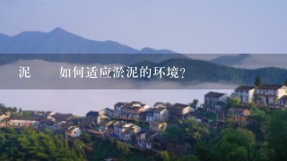 泥ยม如何适应淤泥的环境?