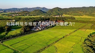 如何利用养殖废弃物提高土壤肥力?