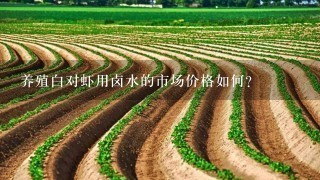 养殖白对虾用卤水的市场价格如何?