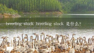 breeding stock breeding stock 是什么?