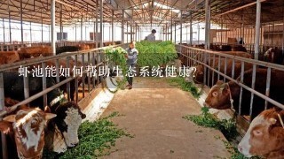 虾池能如何帮助生态系统健康?