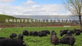 汝州市肉羊养殖项目的主要目标是什么?