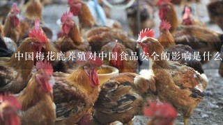 中国梅花鹿养殖对中国食品安全的影响是什么?