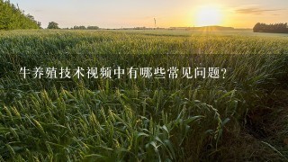 牛养殖技术视频中有哪些常见问题?