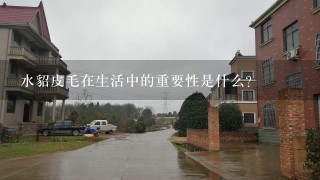 水貂皮毛在生活中的重要性是什么?