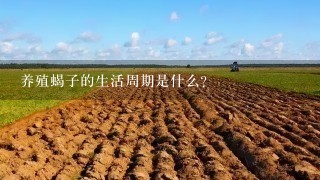 养殖蝎子的生活周期是什么?