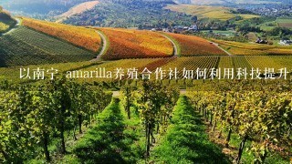 以南宁 amarilla养殖合作社如何利用科技提升其供应链管理效率?