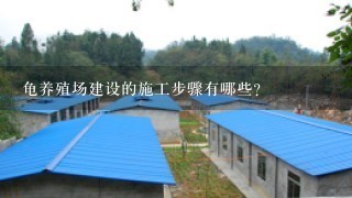 龟养殖场建设的施工步骤有哪些?