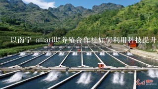 以南宁 amarilla养殖合作社如何利用科技提升其市场竞争力?