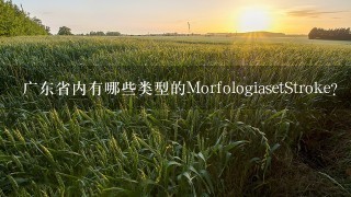 广东省内有哪些类型的MorfologiasetStroke?