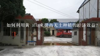 如何利用黄 afla来提高无土种植的经济效益?