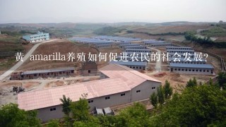 黄 amarilla养殖如何促进农民的社会发展?