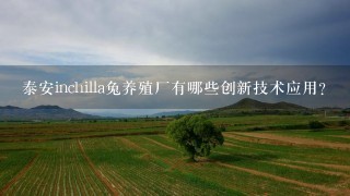 泰安inchilla兔养殖厂有哪些创新技术应用?