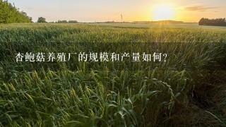 杏鲍菇养殖厂的规模和产量如何?